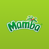 Вопросы и ответы  Mamba